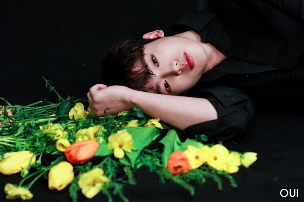 Twitter.com/yohanpictures