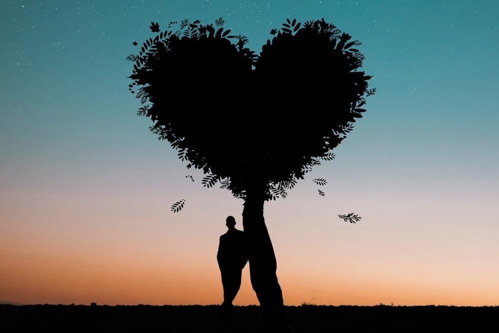 Pexels.com/Rakicevic Nenad