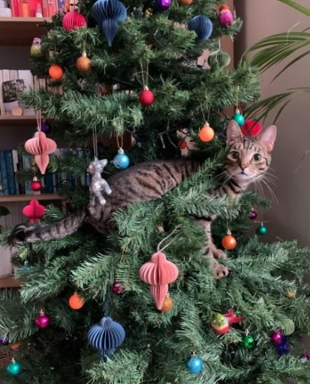 twitter.com/charl_crabtree