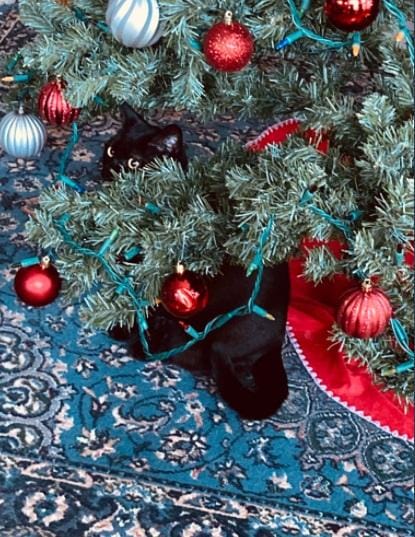 twitter.com/aka60643