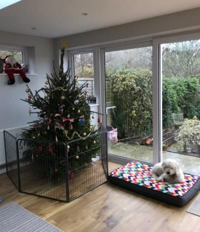 twitter.com/danbeynon