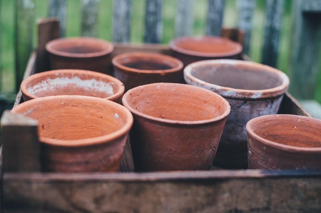 Unsplash.com/Annie Spratt