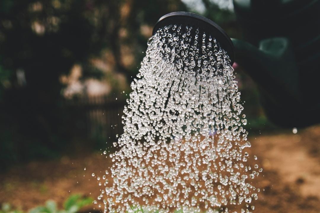 Unsplash.com/Markus Spiske