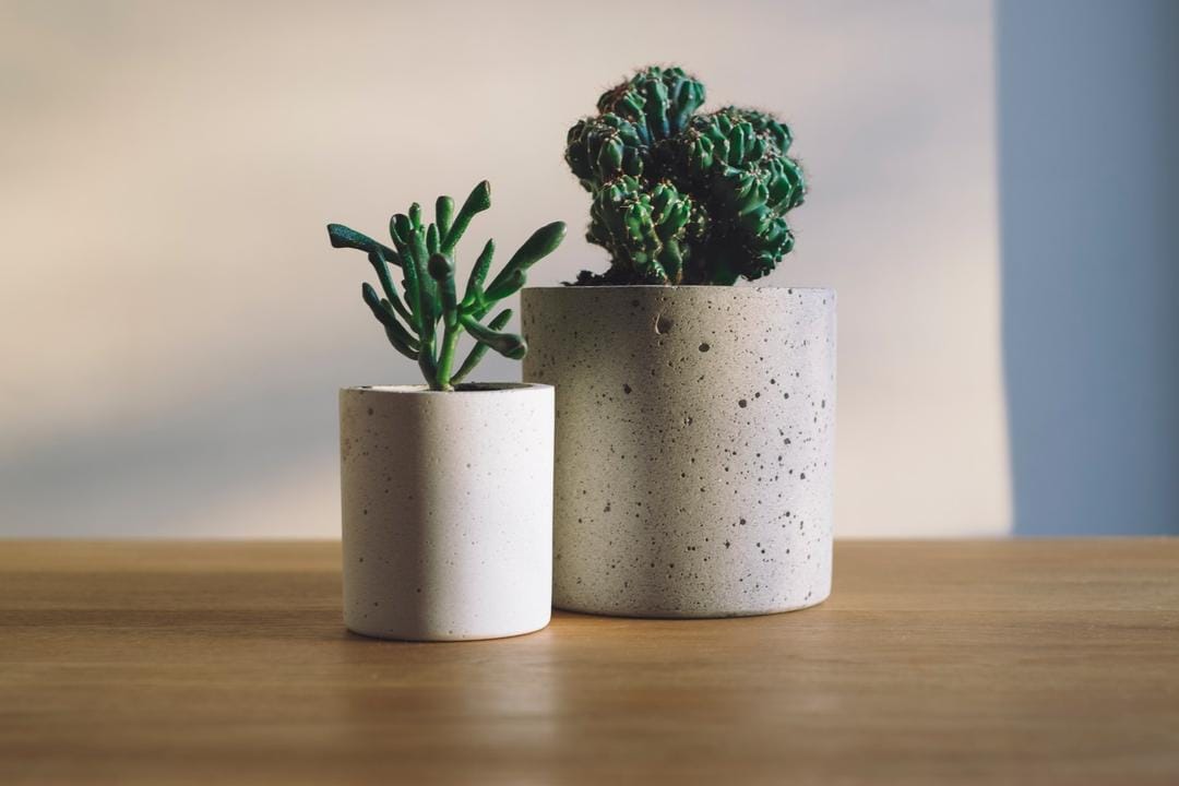 Unsplash.com/Freddie Marriage