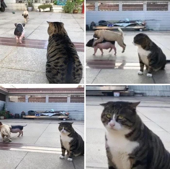 instagram.com/tang9599