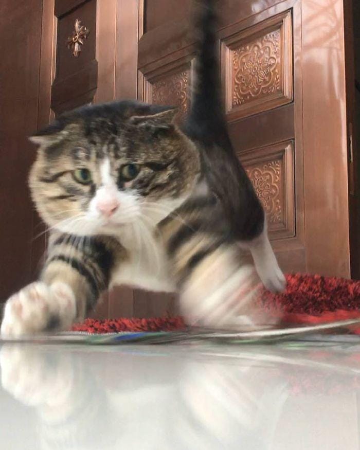 instagram.com/tang9599