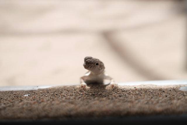 unsplash.com/JasonAn