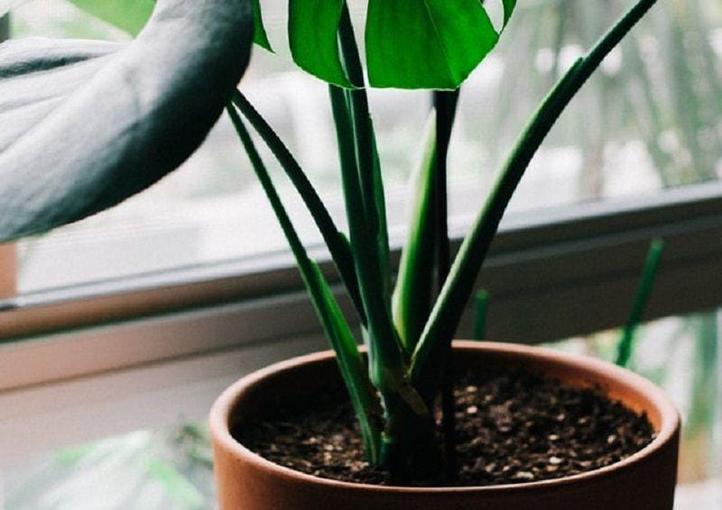 unsplash.com/Mike Marquez