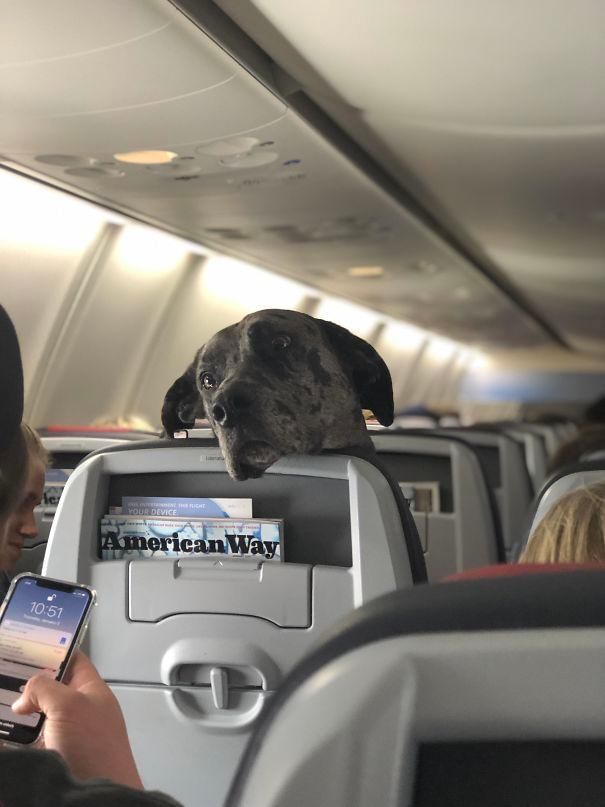 reddit.com/jimmy_bones_