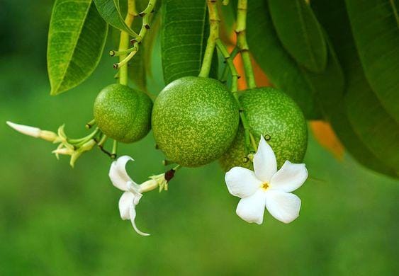 prof-share.blogspot.com