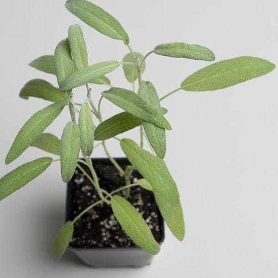 thegrowers-exchange.com