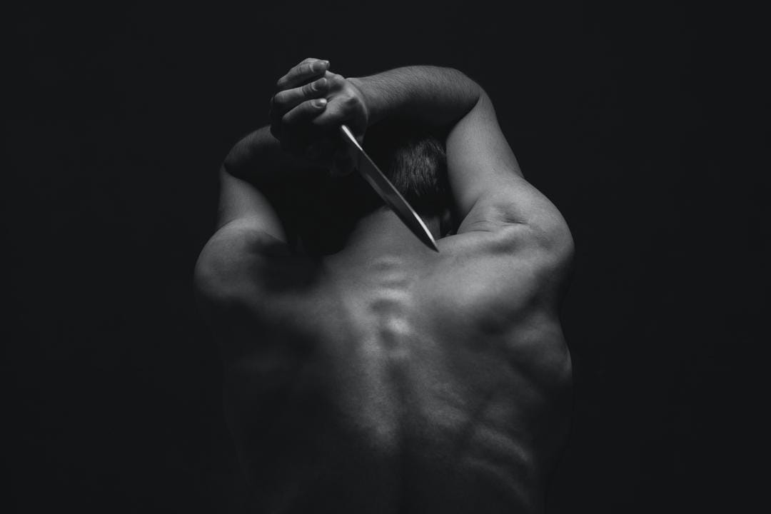 Unsplash.com/Reza Hasannia