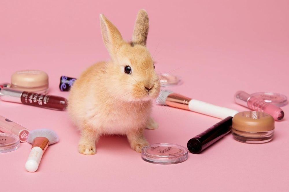 Vegan Beauty, Tren Kecantikan yang Bakal Populer di 2021