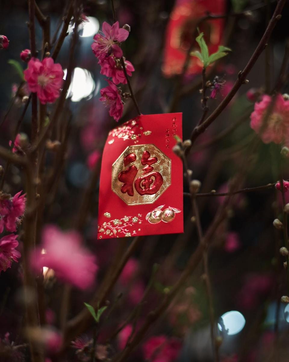 Unsplash.com/Easton Mok Otow