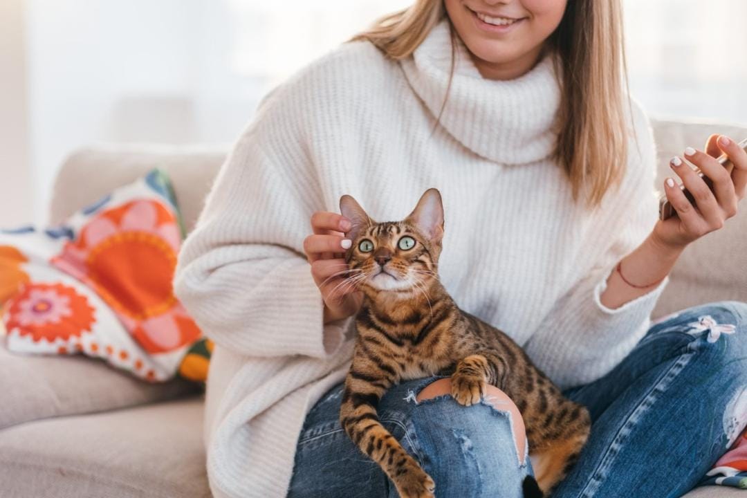 Cara Mudah Bersihkan Bulu Kucing pada Pakaian