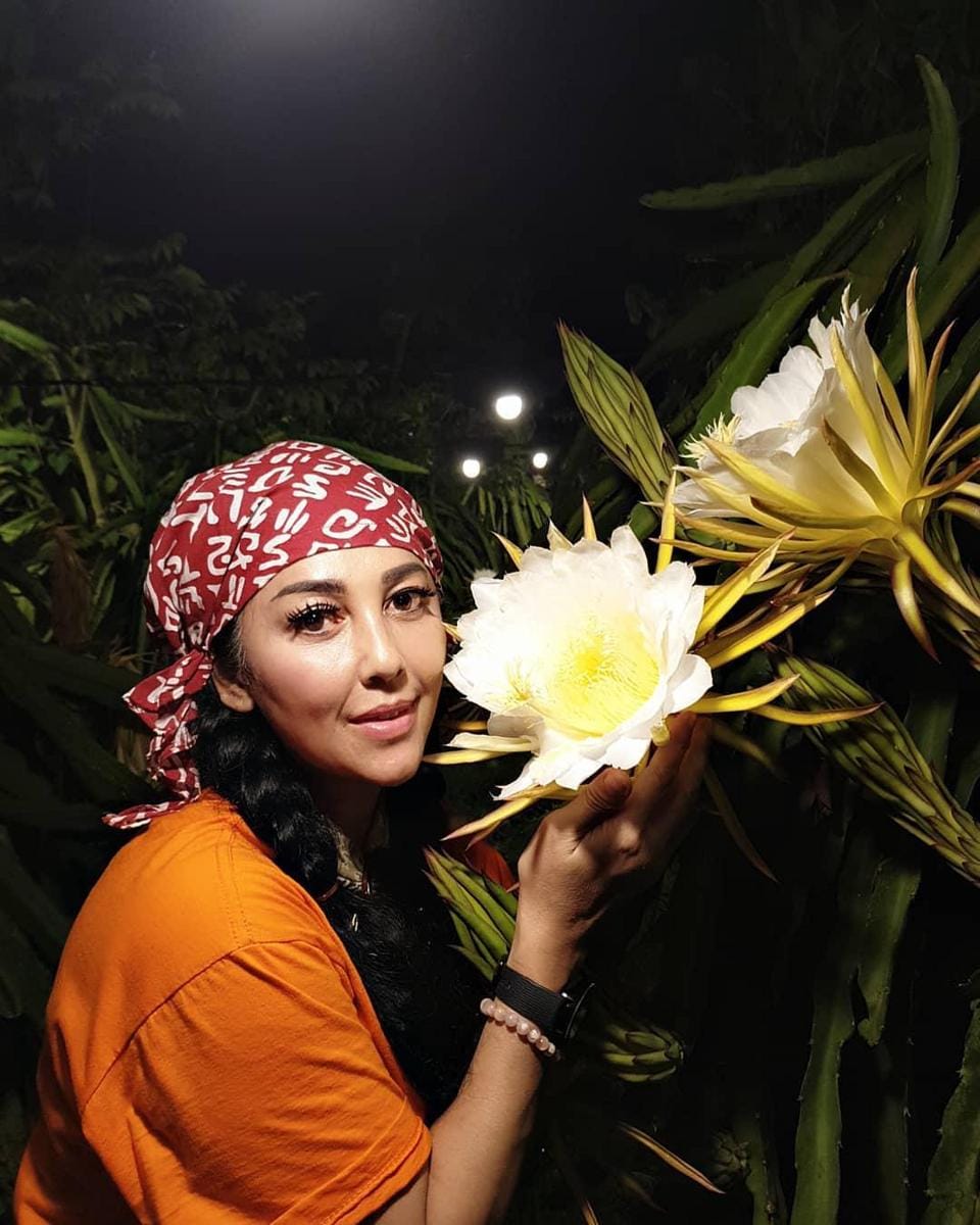 instagram.com/bellinamer/
