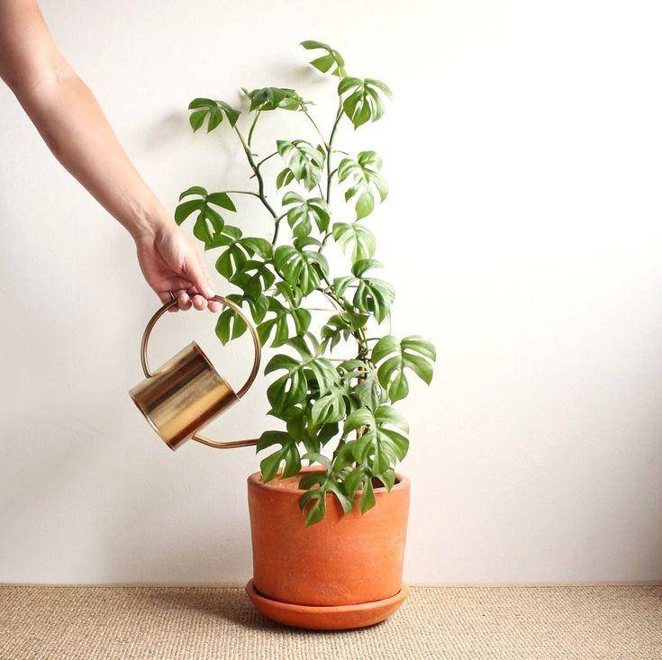 Pinterest.com/Buyonbudget