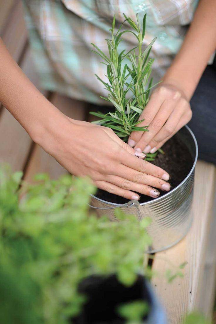 Pinterest.com/Motherearthliving