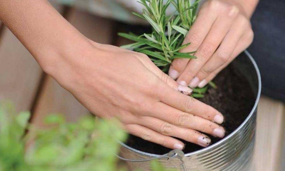Pinterest.com/Motherearthliving