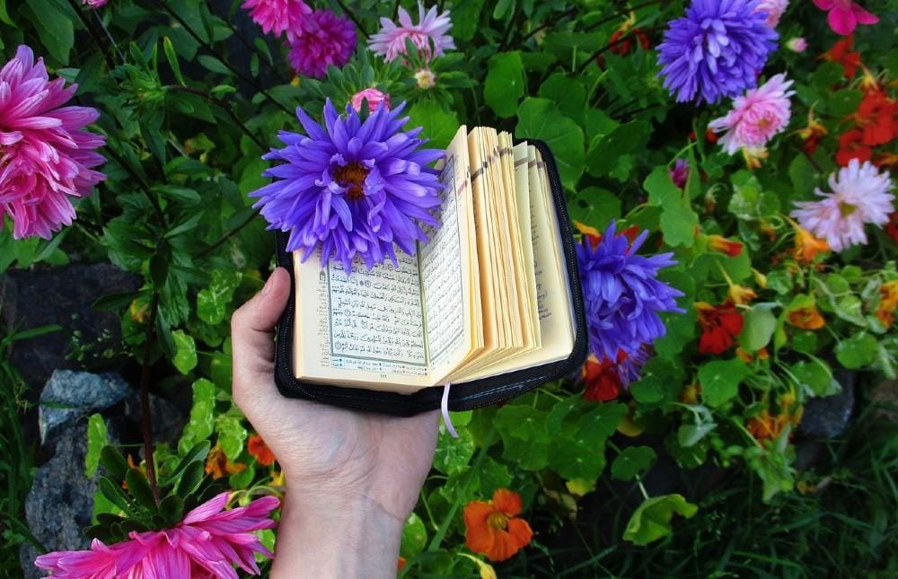 pixabay.com/ElenaMullagaleeva