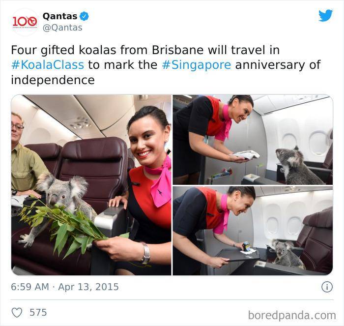 twitter.com/qantas