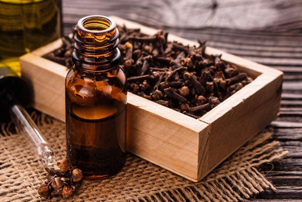 timesofindia.indiatimes.com