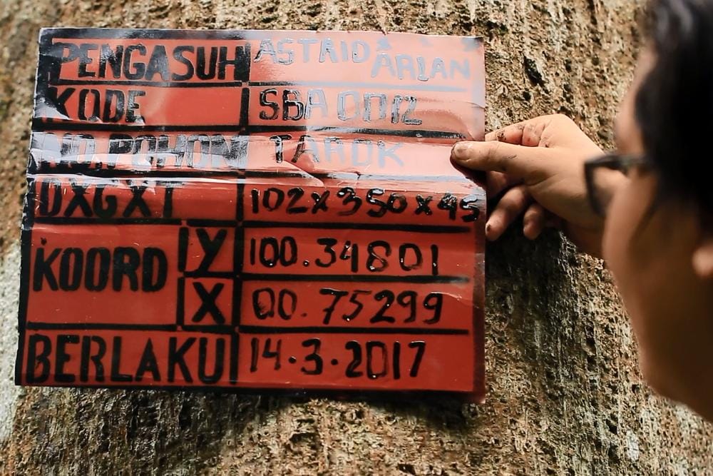 Dok. Hutan Itu Indonesia