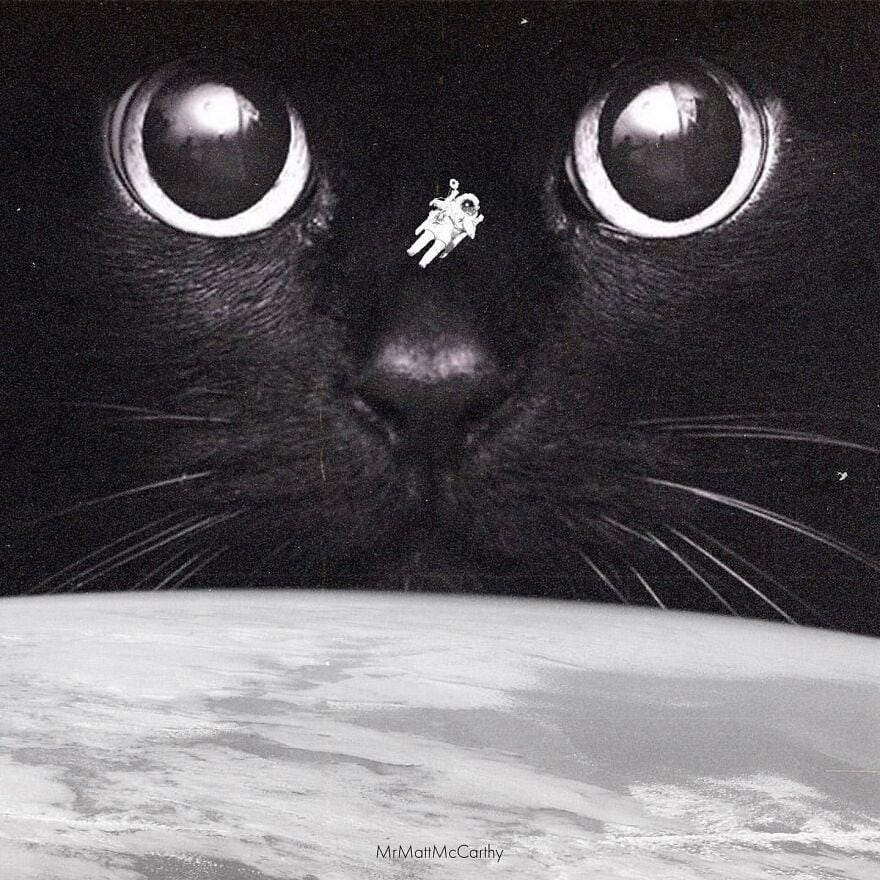 instagram.com/mrmattmccarthy/