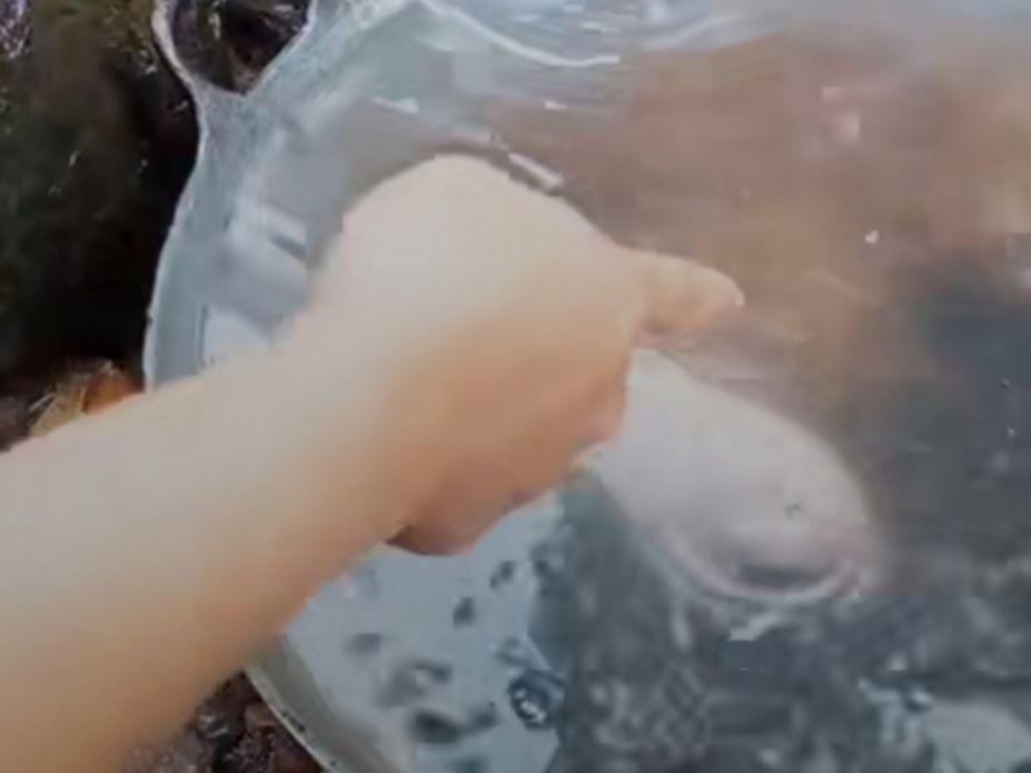 TikTok.com/@AL_lisda