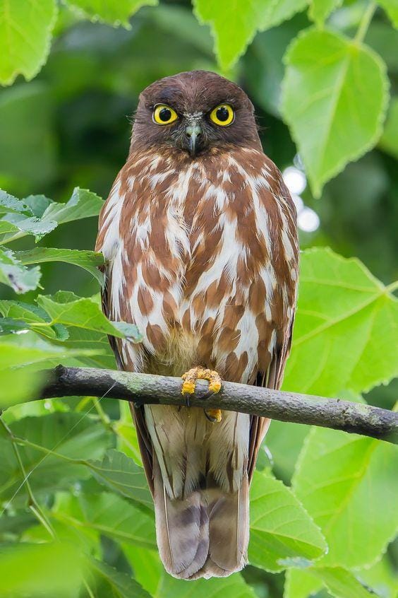 500px.com/yutaterada