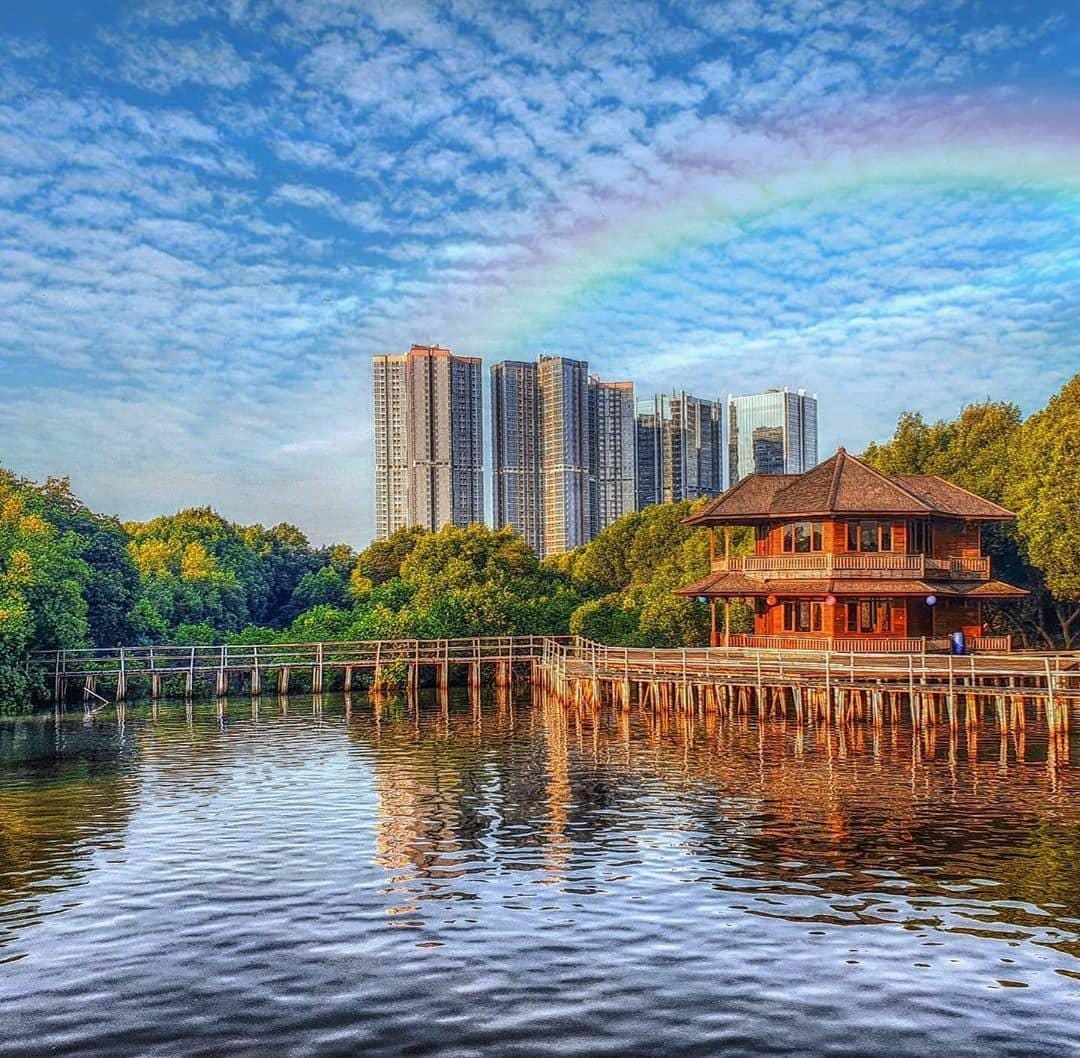 Instagram.com/twa_mangrove