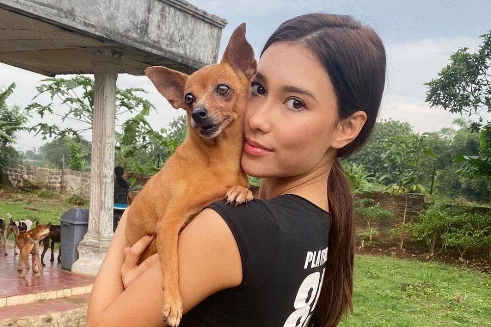 instagram.com/frederikacull