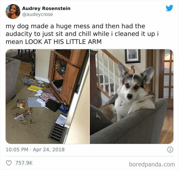 twitter.com/audeycrose