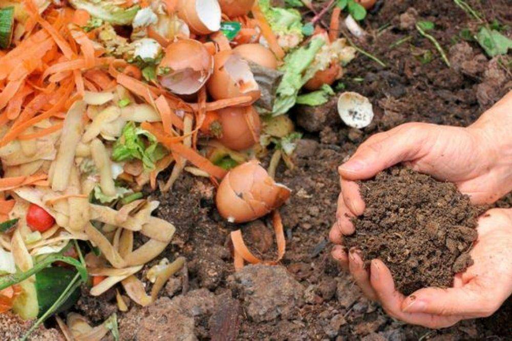 gardeningknowhow.com