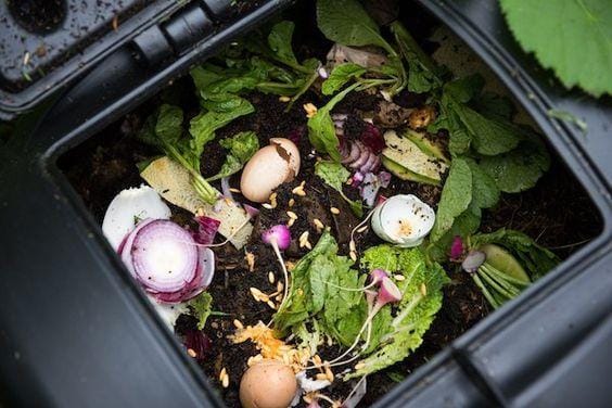 practicalselfreliance.com