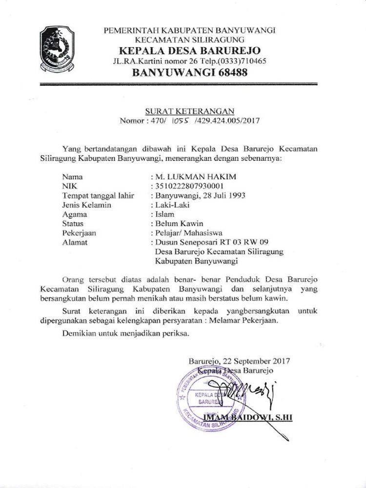 Dok. internet