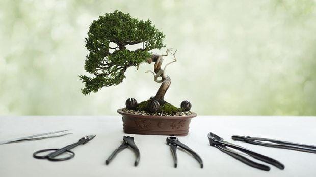 istockphoto/anuchajaroensuk