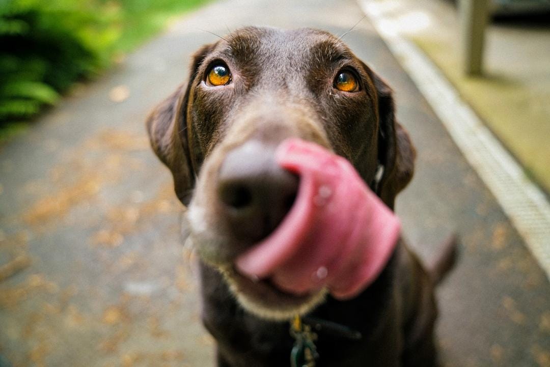 Unsplash.com/James Barker