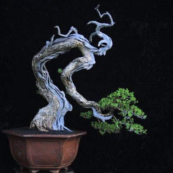 stonelantern.com