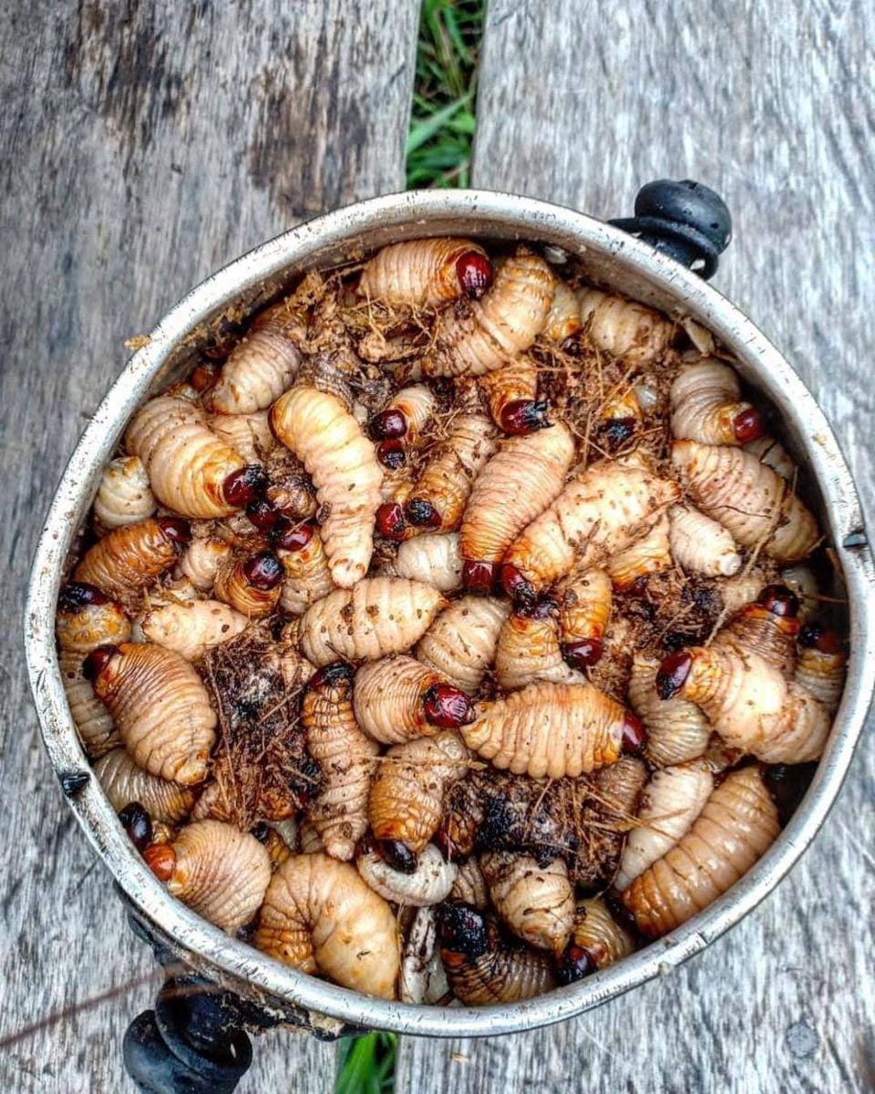 instagram.com/nonaaatp