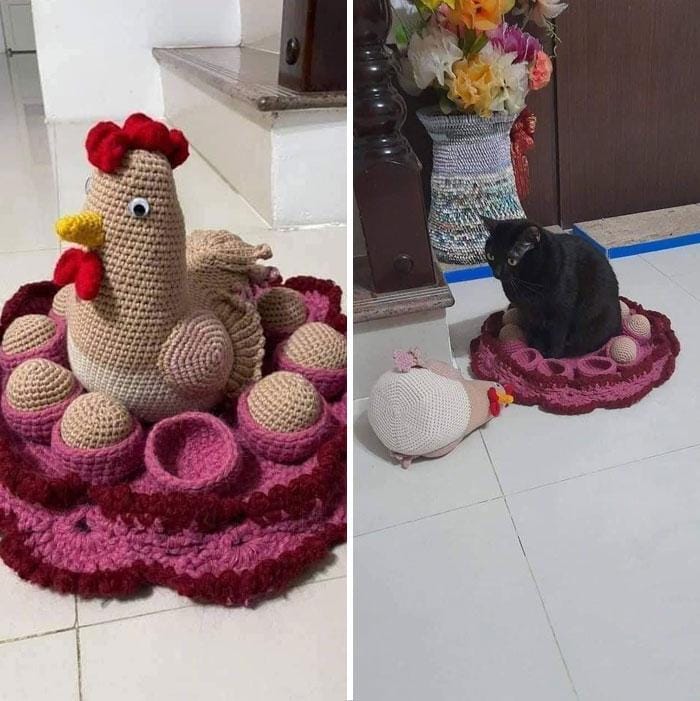 twitter.com/catshouldnt