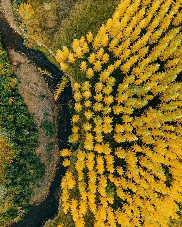 instagram.com/ _mishamartin