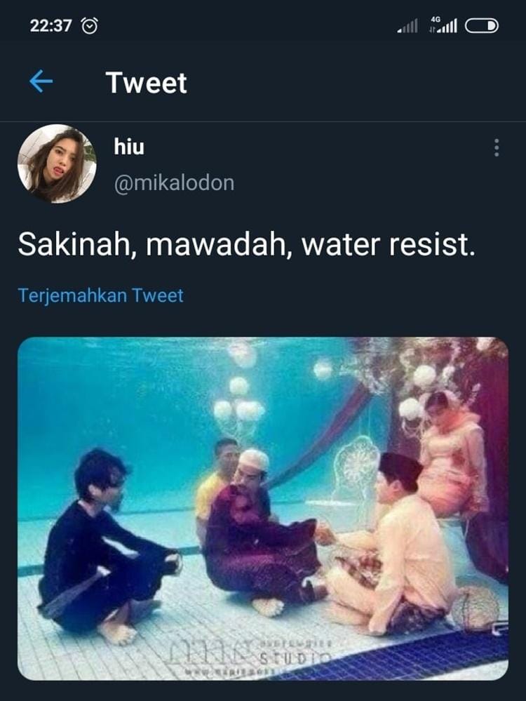 Twitter.com/mikalodon