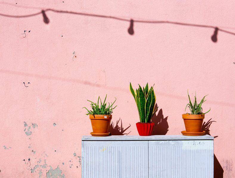 pexels.com/elle-hughes