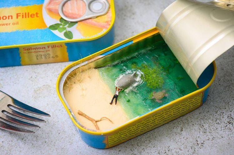 instagram.com/ tinywasteland