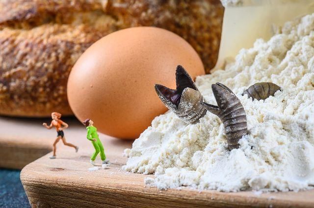 instagram.com/ tinywasteland