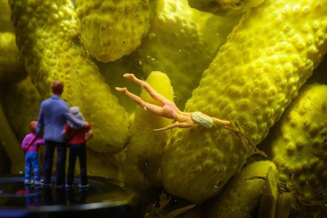 instagram.com/ tinywasteland