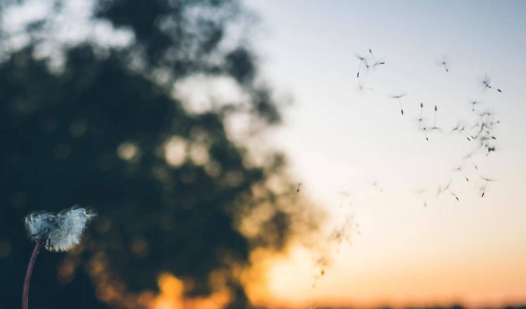 Unsplash.com/Jamie452