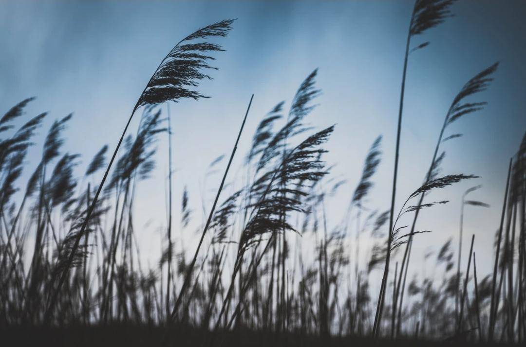 Unsplash.com/Joshua Fuller