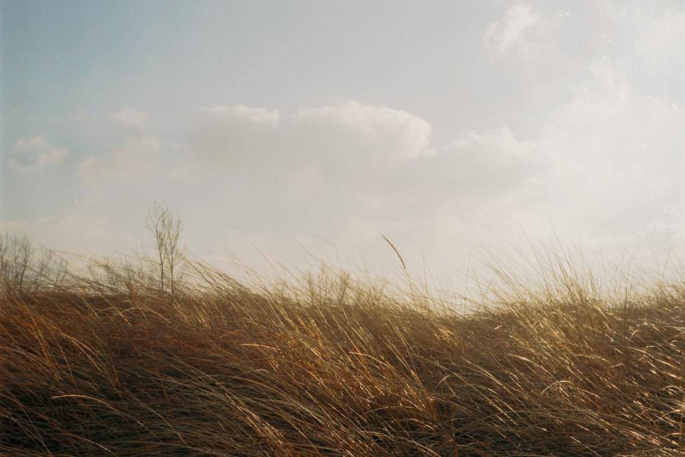 Pexels.com/Jeffrey Czum